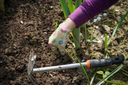 Podczas zakładanie ogrodu bardzo ważna jest kolejność wykonywania prac